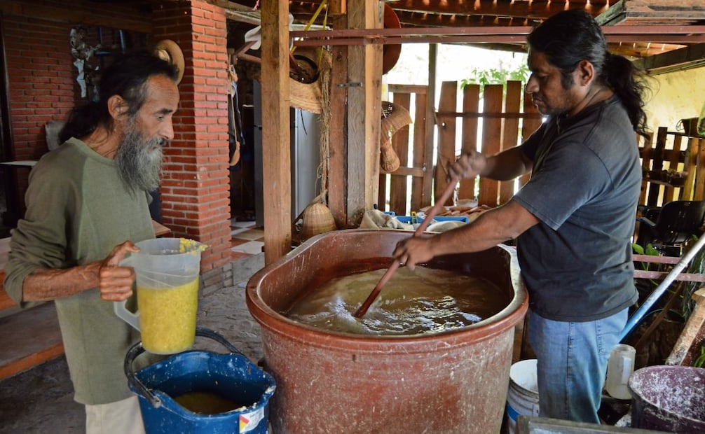Antes de elaborar el papel con fibras del agave, el maestro papelero probó con fibras de plátano, maíz, jamaica y con las piñas. Foto: Juan Carlos Zavala