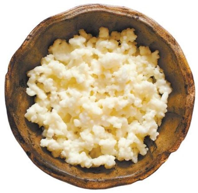 Alimentos fermentados que debes incluir en tu dieta