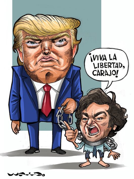 Cartón de WALDO