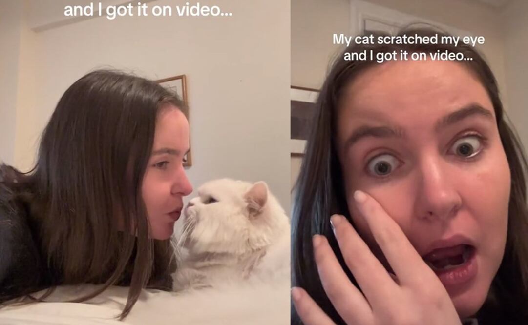 El pequeño gato es una estrella en TikTok. Foto: TikTok