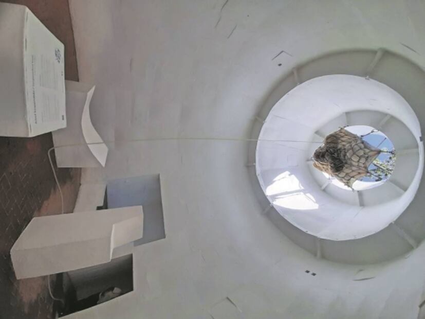 Volver a la naturaleza de hace mil años, para salvar el futuro: la nueva instalación de arte en la Ruta de la Amistad