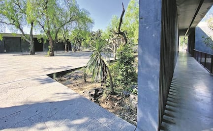 El sueño de Diego Rivera en Anahuacalli, cada vez más cerca