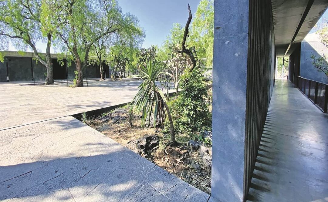 Una segunda plaza, más pequeña, con árboles en el espacio es una de las nuevas áreas. Foto: Berenice Fregoso. EL UNIVERSAL