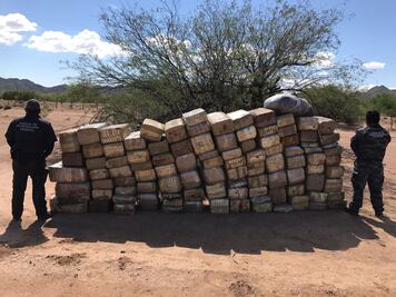 Hallan más de una tonelada de marihuana en Sonora