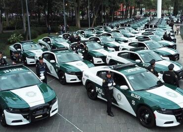 Á. Obregón debe informar sobre contratos de arrendamiento de patrullas: INFO