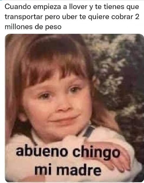 Recuento de los mejores y más divertidos memes que nos dejó el 2021