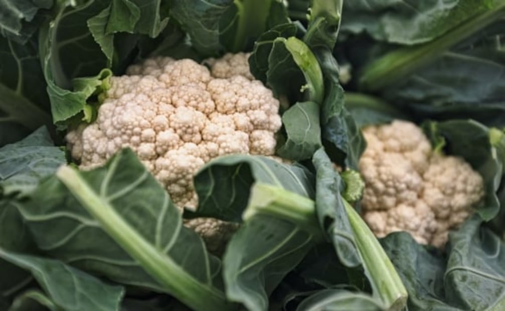 5 cosas que no debes hacerle a tu cuerpo, si viajas en avión 