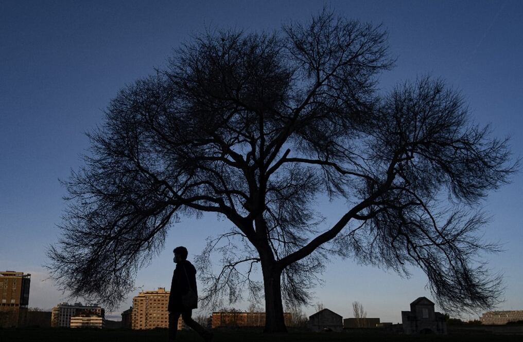 Foto: AP / Álvaro Barrientos