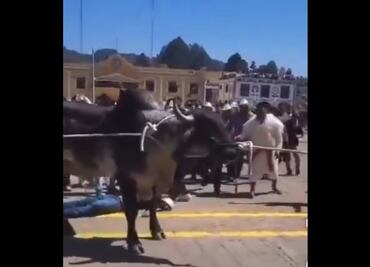 Joven resulta gravemente lesionado durante carnaval de San Juan Chamula en Chiapas; toro lo patea en el rostro