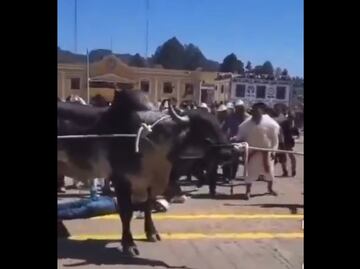 Joven resulta gravemente lesionado durante carnaval de San Juan Chamula en Chiapas; toro lo patea en el rostro