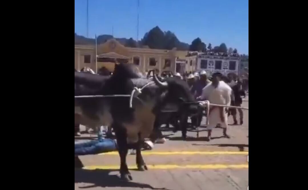 Foto: Captura de pantalla