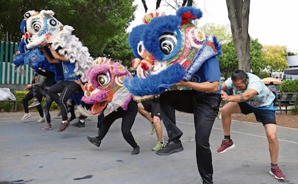 FOTOS Preparan la danza de los leones chinos para la CDMX