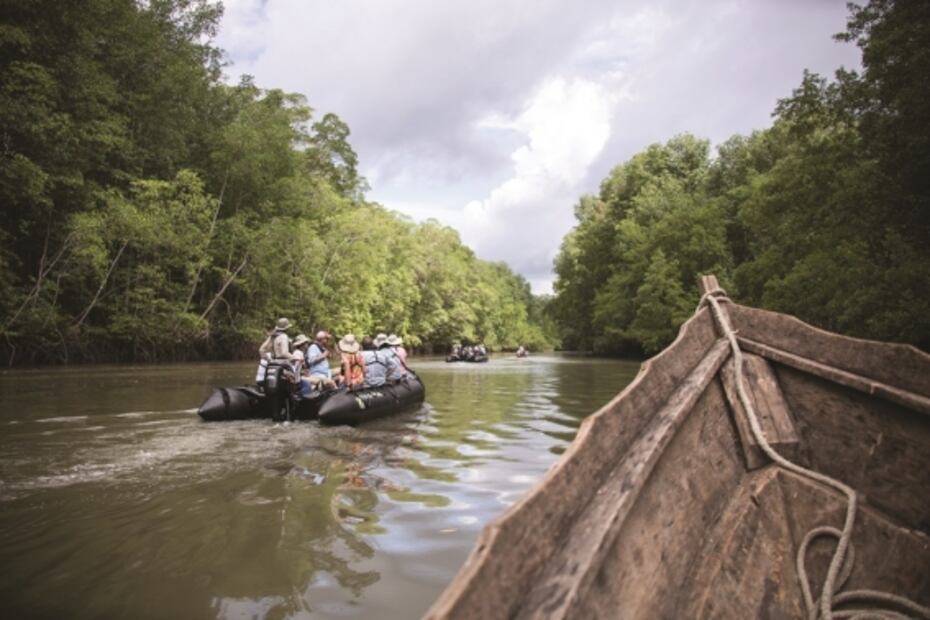 Así es un viaje a bordo de un crucero de expedición