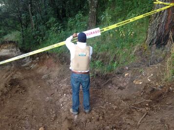 Clausura Profepa predio por afectación forestal  en Edomex