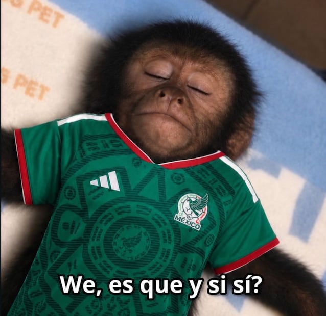 ¿Cómo llegó "¿Y si sí?" a la Selección Mexicana?. Foto: Redes sociales
