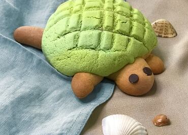 Tortuconchas, un tierno y delicioso antojo en CDMX