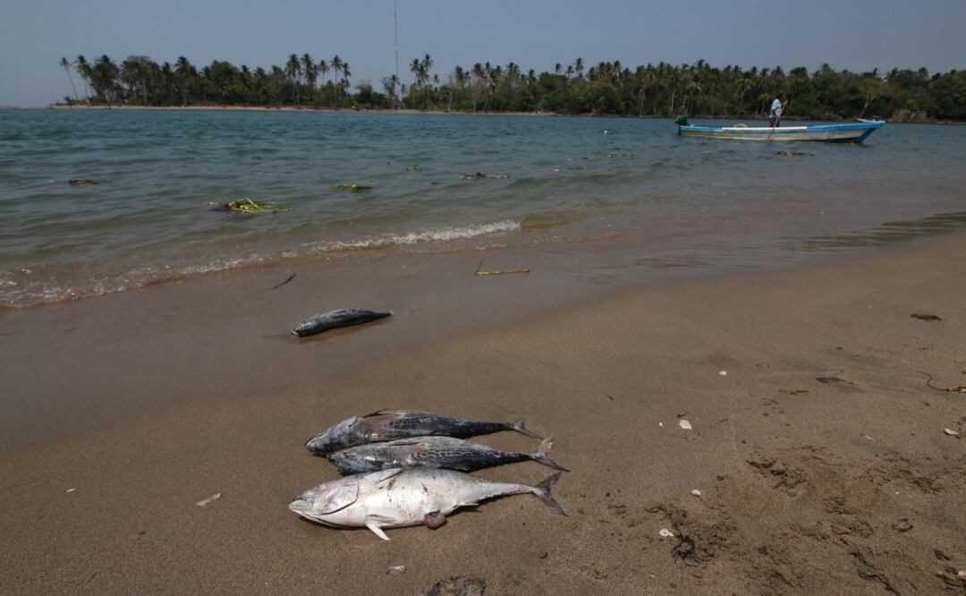 Los más afectados con el cierre de la costa son los pescadores quienes viven de esta actividad y tuvieron que frenar sus actividades hasta nuevo aviso (05/05/2025) Foto: Luma López / EL UNIVERSAL