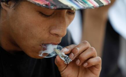 Necesario, un análisis profundo en tema de marihuana: expertos