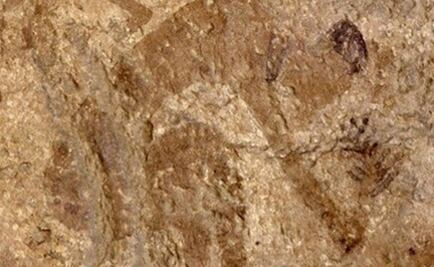 La cocina se inventó hace más de 10 mil años