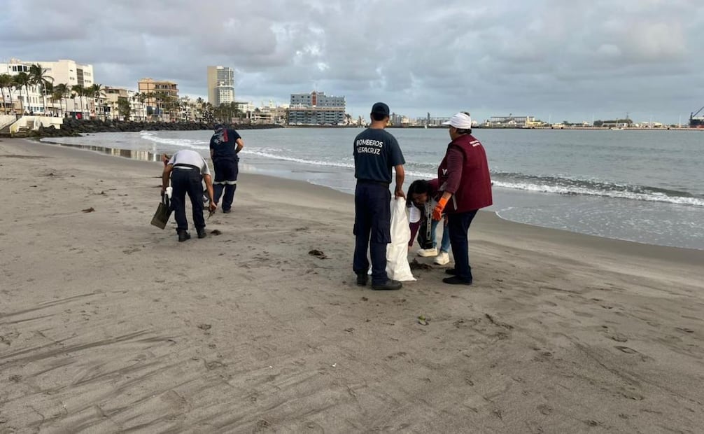 Limpian 34 playas afectadas por manchas de hidrocarburo en Veracruz; participan 235 elementos.
Foto: Especial.