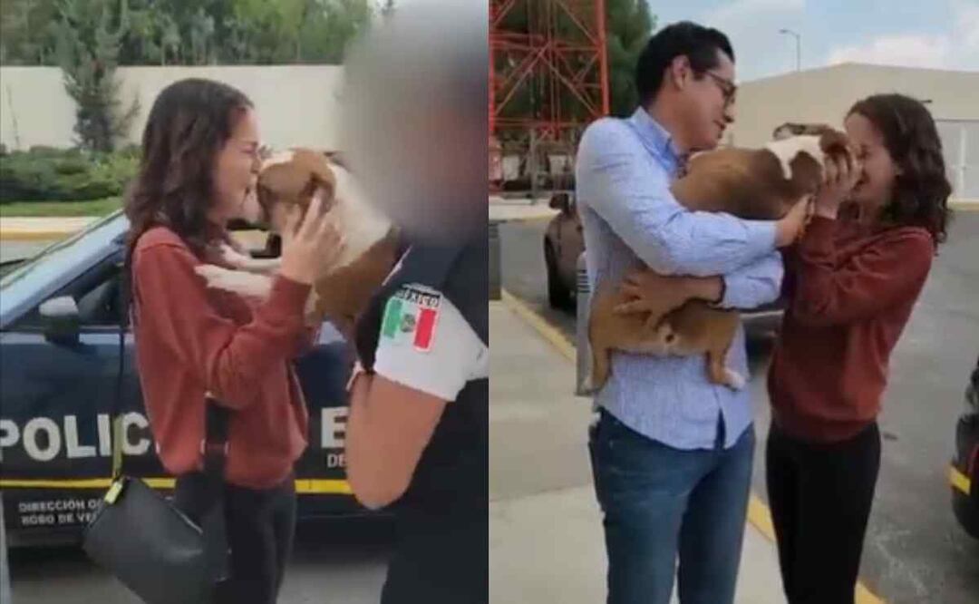 Así fue el reencuentro del perro Frank con sus dueños. Foto: Especial