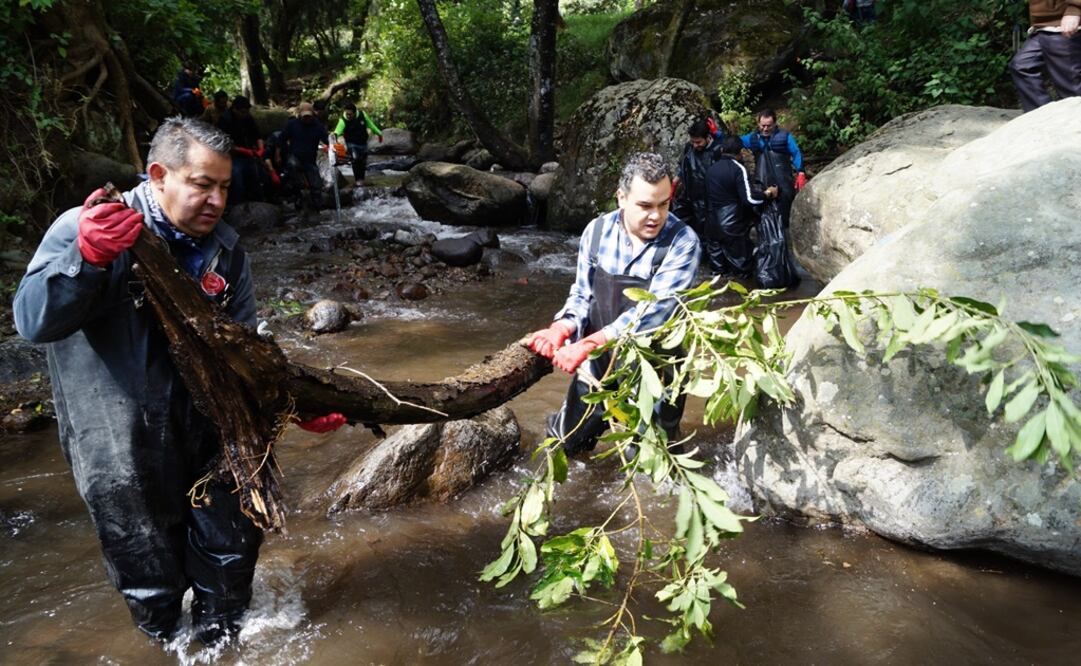 (Foto: Delegación Magdalena Contreras)
