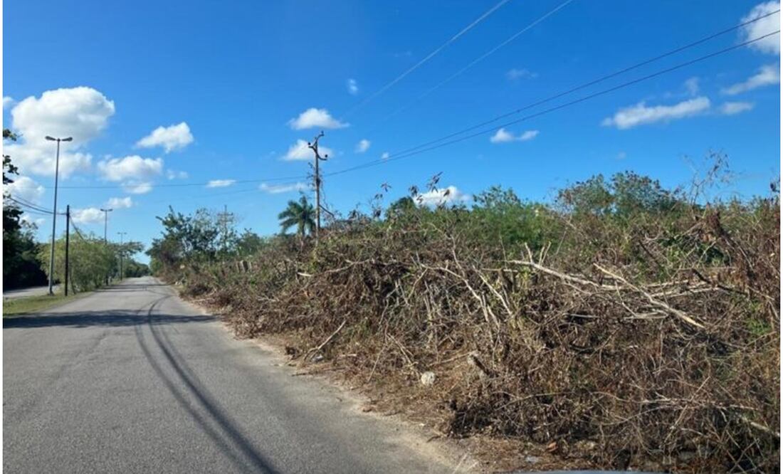 Los habitantes de la zona yucateca, solicitan a la CFE una revisión para verificar si hubo daños en los cables de internet, así como coordinación entre vecinos para la poda moderada de un tramo pendiente (20/12/2024). Foto: Especial