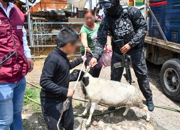 Devuelven lo extorsionado: Secretaría del Bienestar del Edomex entrega borreguitos, pollo y aves de corral incautados en Operación Liberación