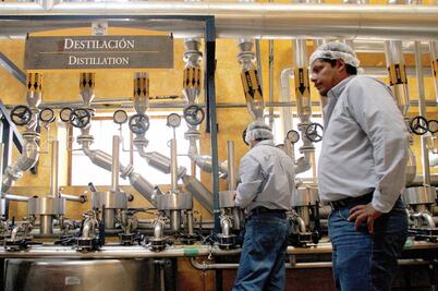 Unión Europea protege al tequila de México