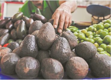 En primer semestre de 2021 aumentan exportaciones de fresa, aguacate, toronja y papaya