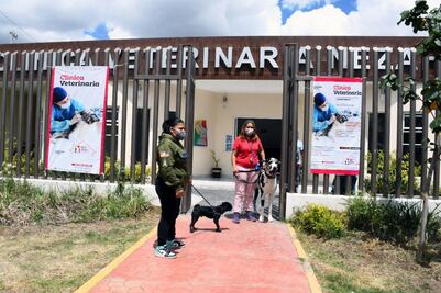 Entra en funciones la primera clínica veterinaria en Neza
