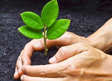 México se compromete a impulsar la conservación del 30% del planeta para el 2030