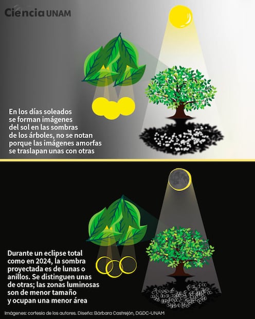 Foto: Revista UNAM Global / DGDC UNAM