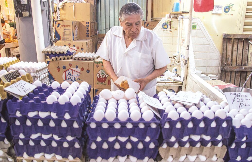 Archivo / EL UNIVERSAL