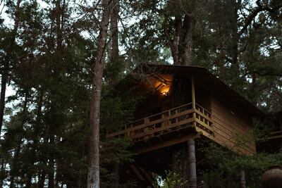 Casas del árbol para pasar un fin de semana en las alturas