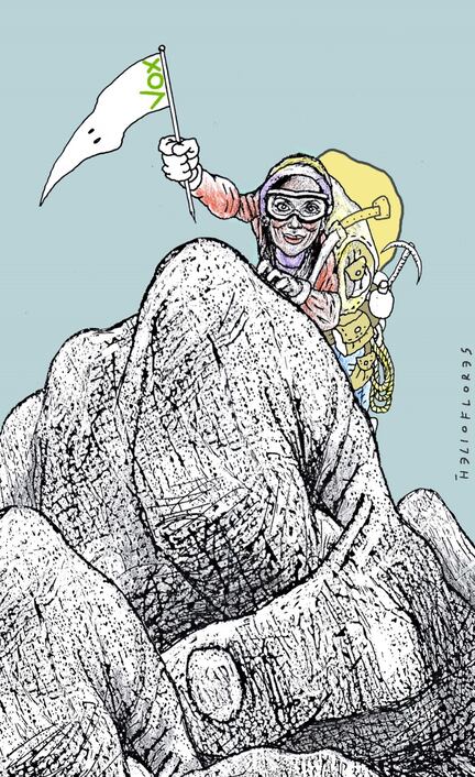 Cartón de HELIOFLORES