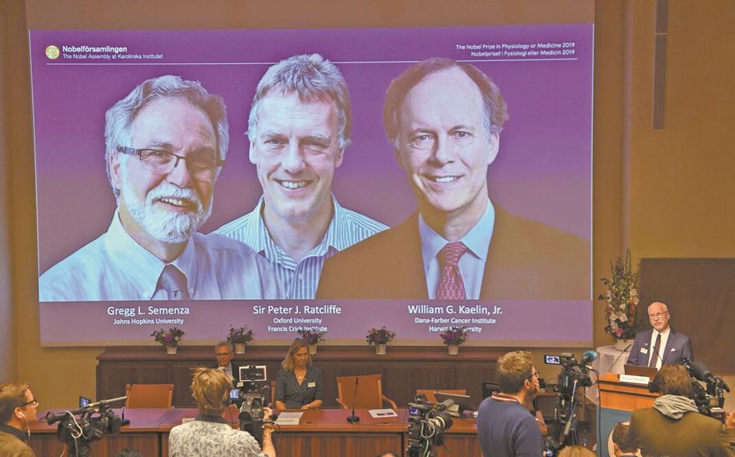 Los ganadores: Gregg Semenza, Peter Ratcliffe y William Kaelin. JONATHAN NACKSTRAND. AFP