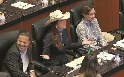 “¡No traen los votos!”, el grito de victoria de la oposición en el Senado sobre reforma militar