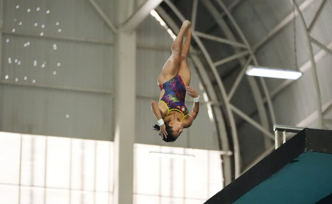 Alejandra Estudillo en la Copa México de Clavados - Foto: Especial