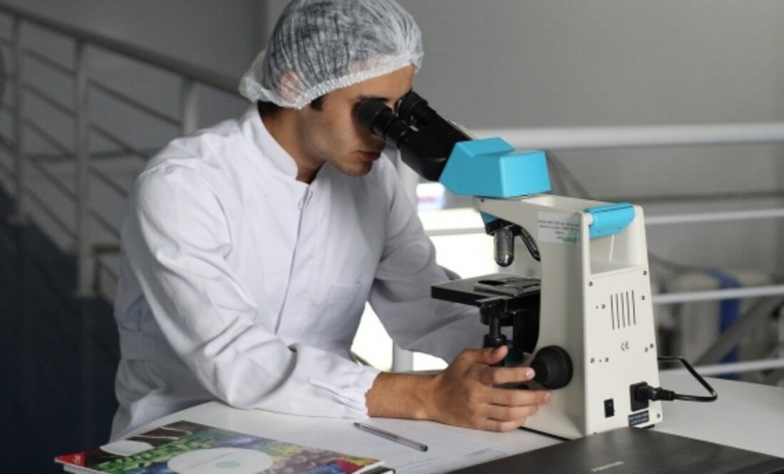 El Premio Nacional de Periodismo en Salud reconoce a los periodistas que han contribuido significativamente a la divulgación de información en este campo. Foto: Especial