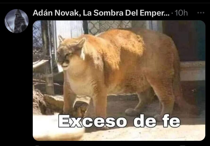 Los MEJORES MEMES del triunfo de Pumas
