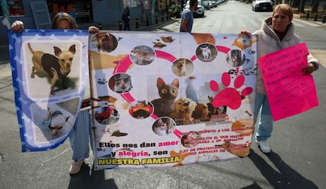 "No es rescate es masacre"; protestan en Metrobús Línea 6 por traslado de perros del Refugio Franciscano