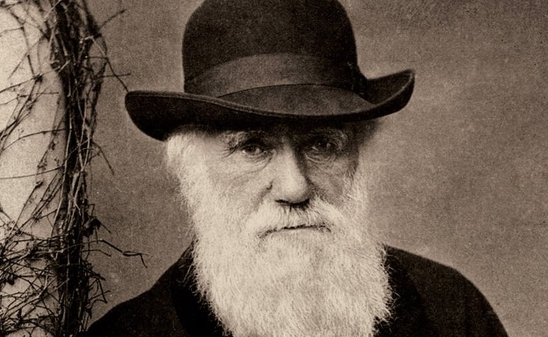 Darwin quedó muy impresionado con el trato de los brasileños blancos hacia sus esclavos negros durante sus cuatro meses en Brasil. Foto: BBC