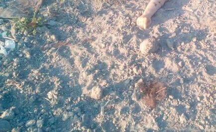 Hallan cadáver de mujer semidesnudo y mutilado en terreno baldío de Coacalco 