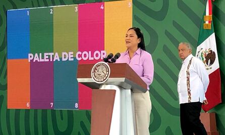 Bienestar anuncia programa para levantar imagen urbana de Acapulco tras "Otis"