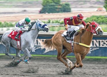 Apostar es una diversión “seria”