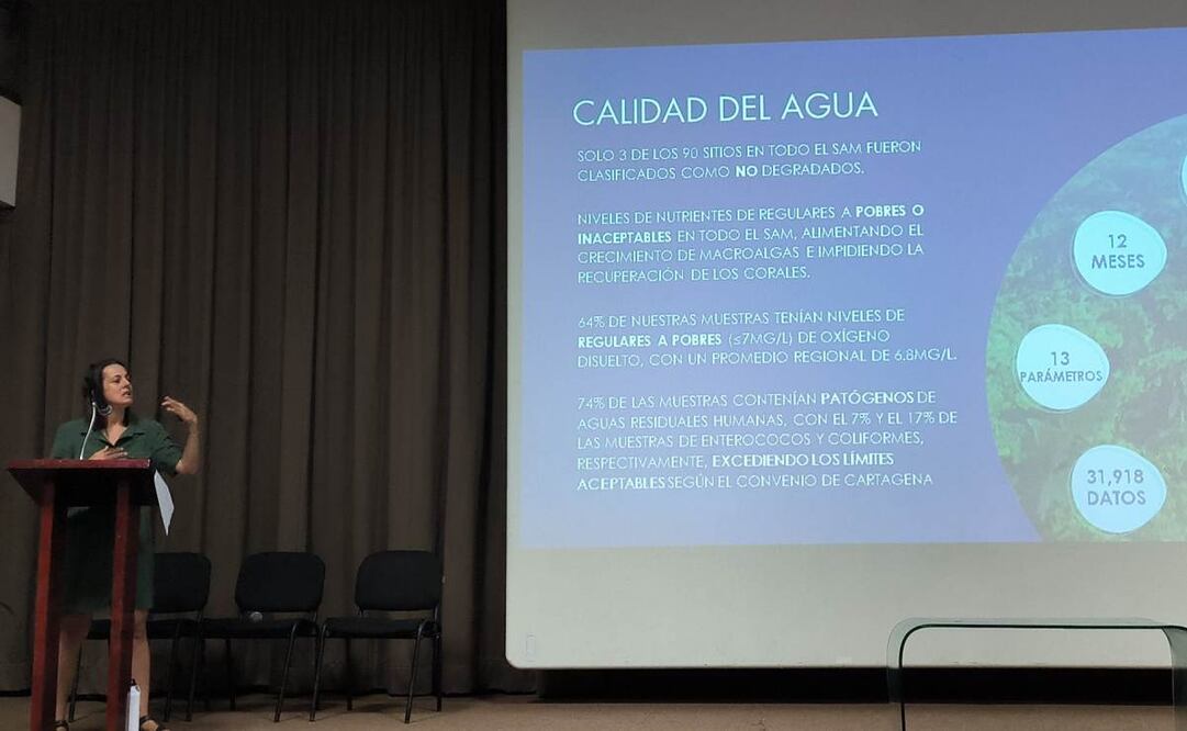 La salud del Sistema Arrecifal Mesoamericano se deteriora y exige una acción urgente, alertaron expertos (29/10/2024). Foto: Adriana Varillas