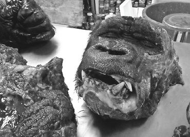 Necropsia de Bantú, “una carnicería”