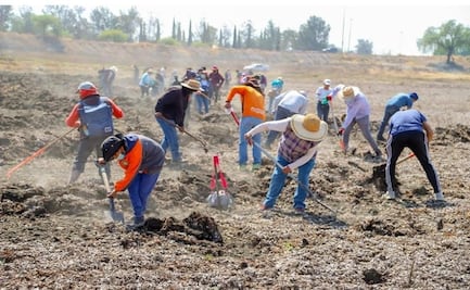 Avanza la recuperación de la Laguna de Zumpango para prevenir inundaciones y garantizar agua, afirma Gobierno del Edomex