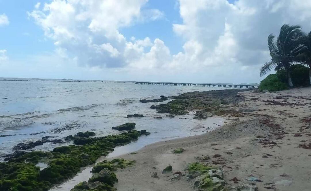 Marina se alista para arribo de sargazo en costas de Quintana Roo. Foto: Especial